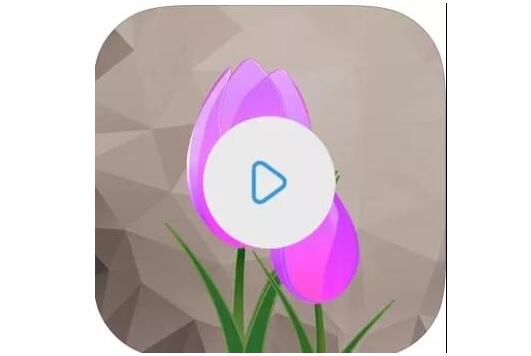制作抖音视频常用的手机软件