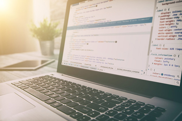 自己如何建立网站